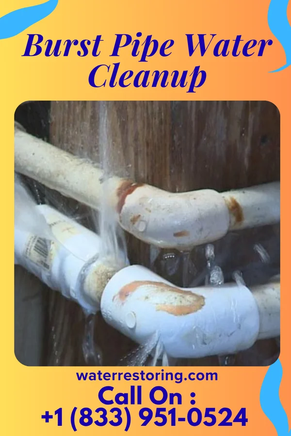 Burst Pipe Water Cleanup in Ulysses, NE